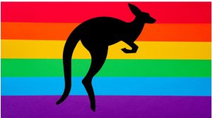 Kangaroo on Pride Flag